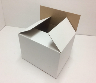 kartónová krabica 320x250x240mm, 3VL  BIELA, 25ks/balenie, vnútorný rozmer,č.113